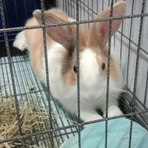 สมาชิกหมายเลข 6176109