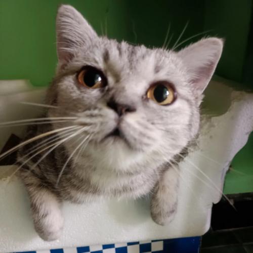 สมาชิกหมายเลข 6811954