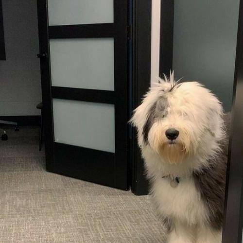 สมาชิกหมายเลข 3752401