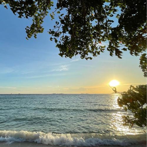 สมาชิกหมายเลข 7581892