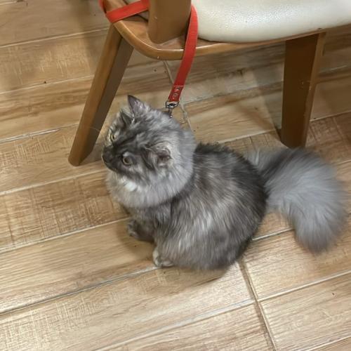 สมาชิกหมายเลข 8504364