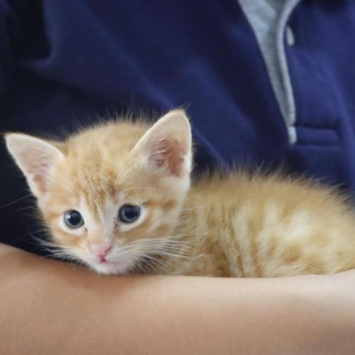 สมาชิกหมายเลข 8504482