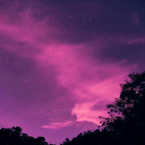 สมาชิกหมายเลข 5198560