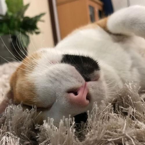 สมาชิกหมายเลข 3327857