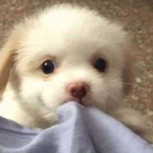 สมาชิกหมายเลข 7583253