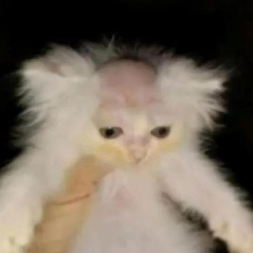 สมาชิกหมายเลข 7583409