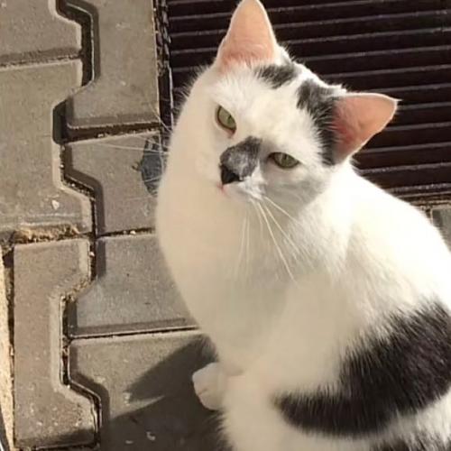 สมาชิกหมายเลข 7583452