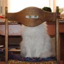 สมาชิกหมายเลข 4017596