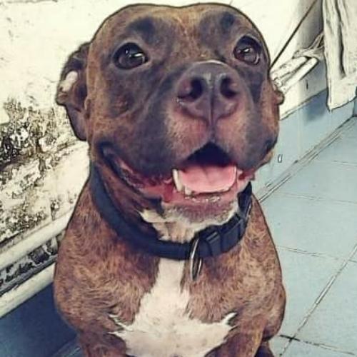 สมาชิกหมายเลข 4815143