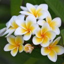 สมาชิกหมายเลข 1489758