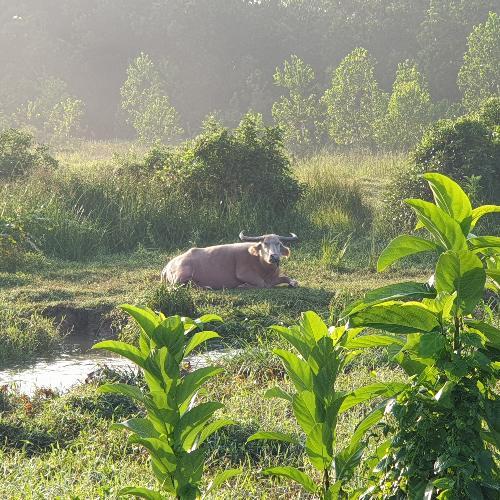 สมาชิกหมายเลข 2643740