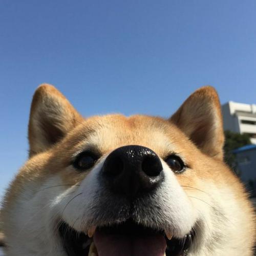 สมาชิกหมายเลข 5609639