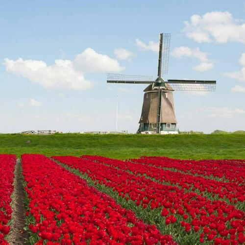 สมาชิกหมายเลข 5610085