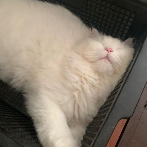 สมาชิกหมายเลข 3741167