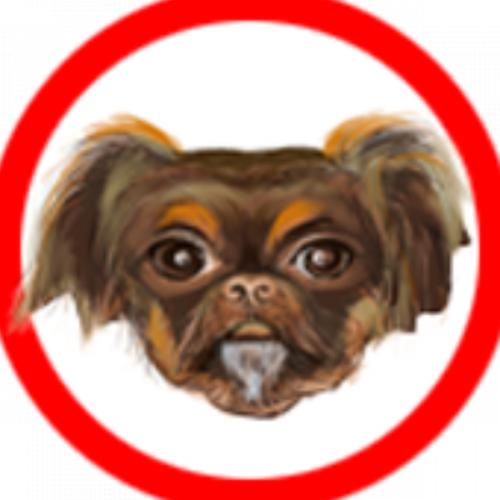 สมาชิกหมายเลข 4850871