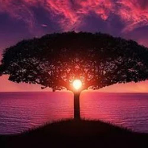 สมาชิกหมายเลข 5449982