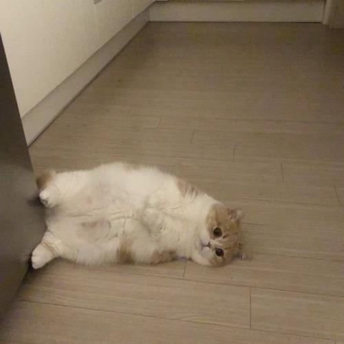 สมาชิกหมายเลข 5423811