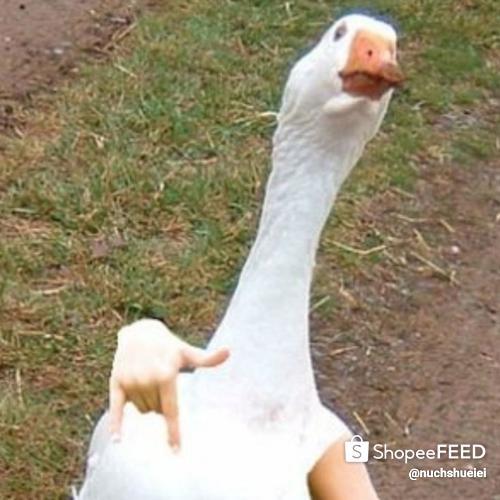 สมาชิกหมายเลข 5805804