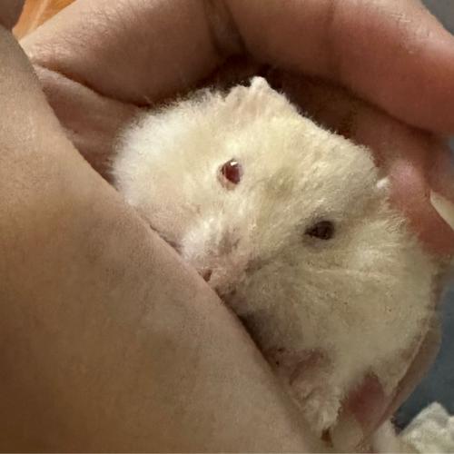 สมาชิกหมายเลข 7583563