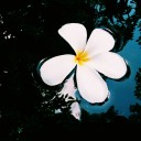 สมาชิกหมายเลข 3262008