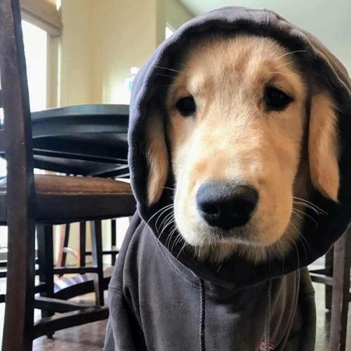 สมาชิกหมายเลข 2829410