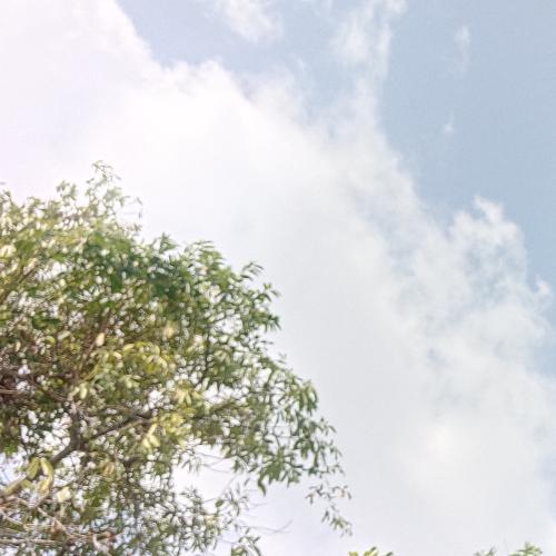 สมาชิกหมายเลข 4521051