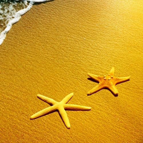 สมาชิกหมายเลข 4995508