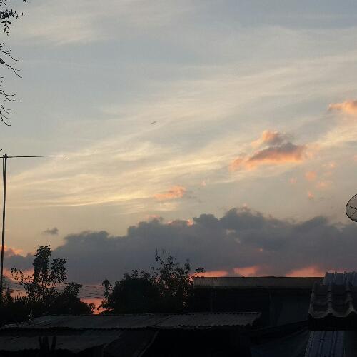 สมาชิกหมายเลข 4390388