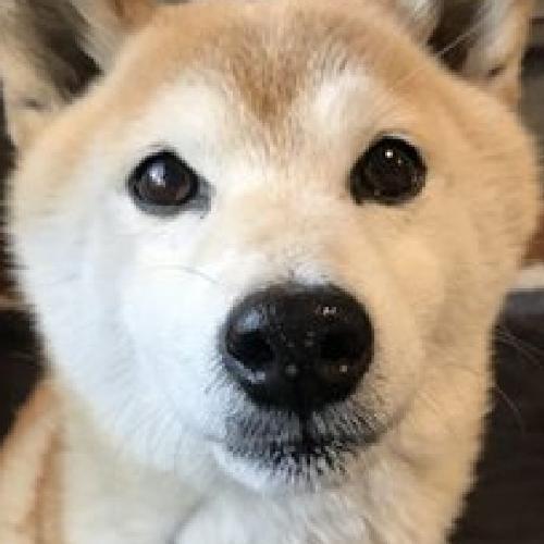 สมาชิกหมายเลข 5472600