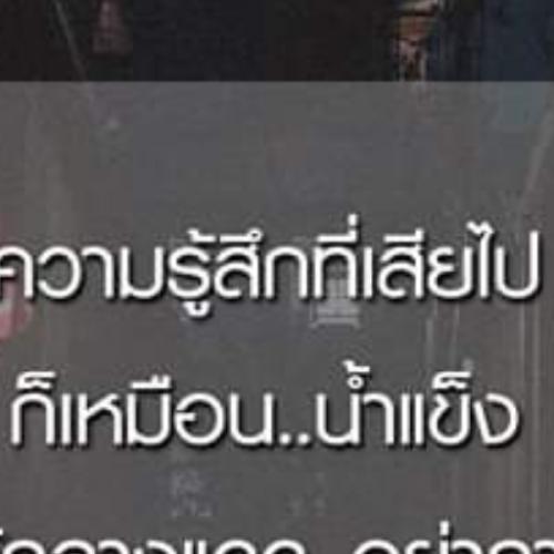 สมาชิกหมายเลข 5532869