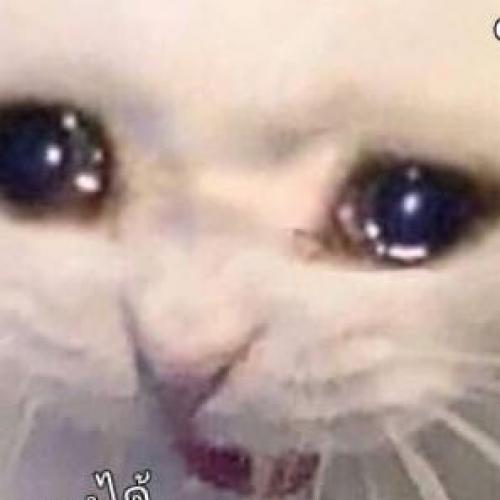 สมาชิกหมายเลข 5610690