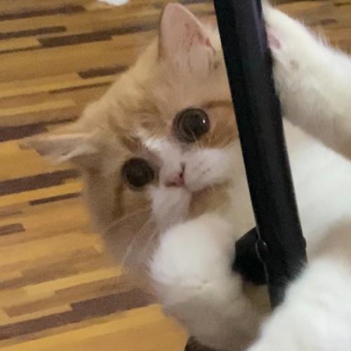 สมาชิกหมายเลข 2959277