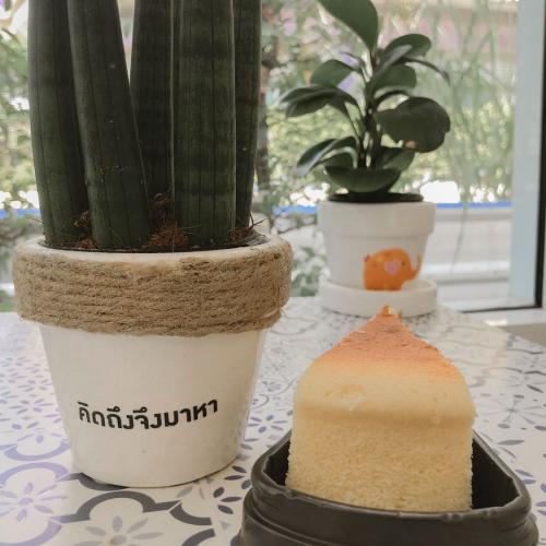 สมาชิกหมายเลข 5327499