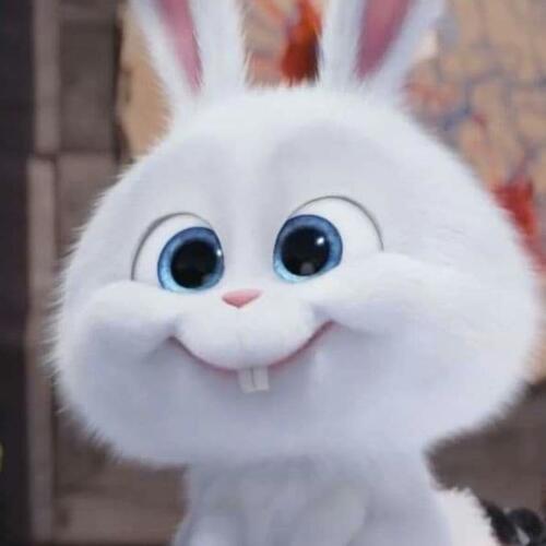 สมาชิกหมายเลข 6177552