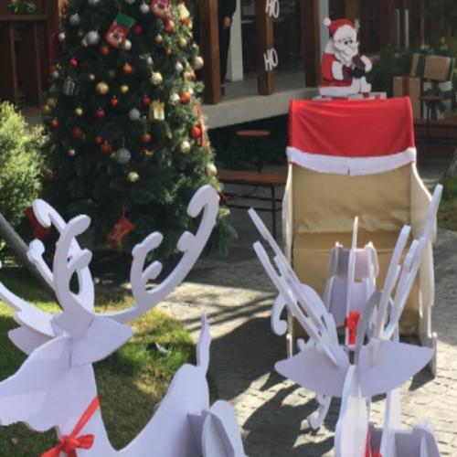 ส ชายรักสงบ