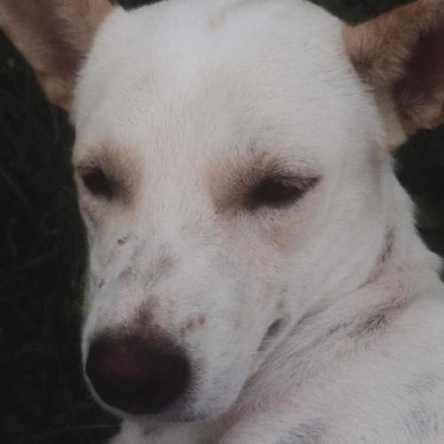 สมาชิกหมายเลข 3634290