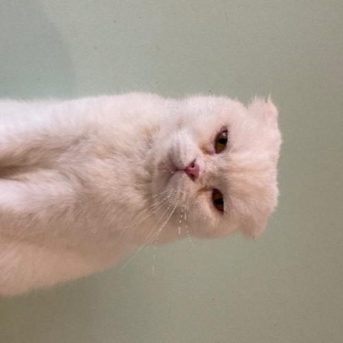 สมาชิกหมายเลข 7584397