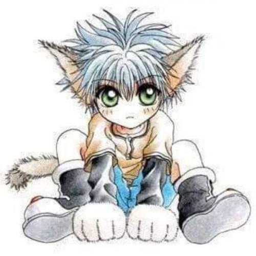 สมาชิกหมายเลข 4066455