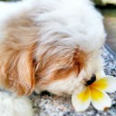 สมาชิกหมายเลข 4017867