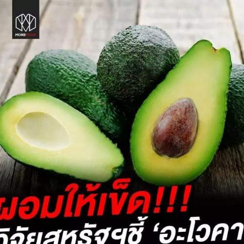 สมาชิกหมายเลข 3326550