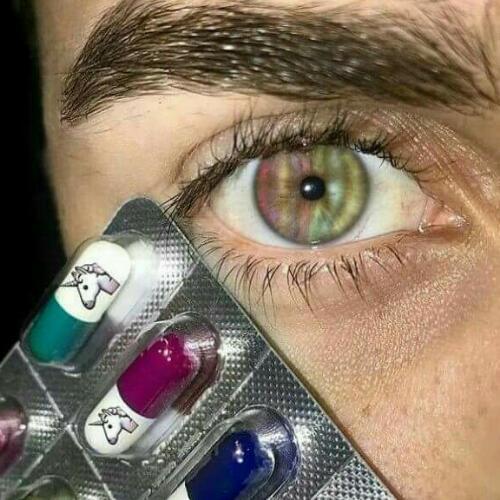 สมาชิกหมายเลข 3607149