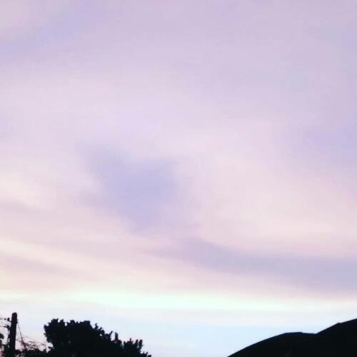 สมาชิกหมายเลข 4814576