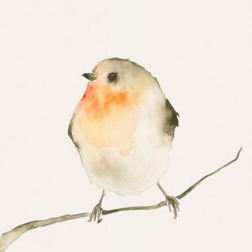 สมาชิกหมายเลข 4815910