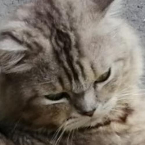 สมาชิกหมายเลข 4935683