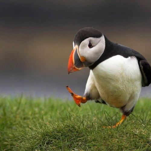 สมาชิกหมายเลข 5199635