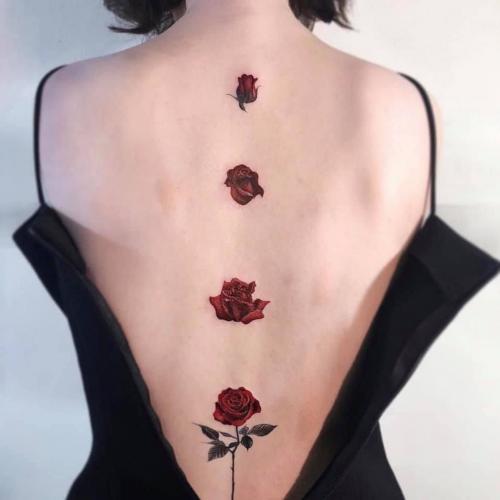 สมาชิกหมายเลข 5611235