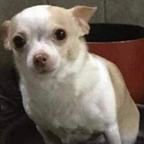 สมาชิกหมายเลข 5580163