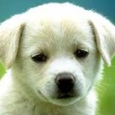 สมาชิกหมายเลข 3985454