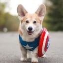 สมาชิกหมายเลข 4018997