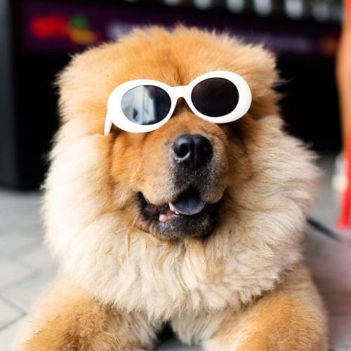 สมาชิกหมายเลข 4060460